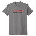 CAPELLA ALUMNI Unisex CVC Sueded Tee - Dark Heather Grey